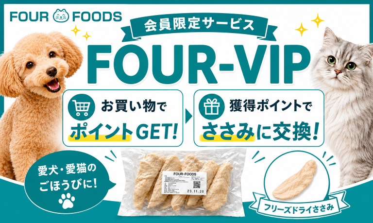 FOUR VIP プログラムについて